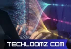 techloomz com