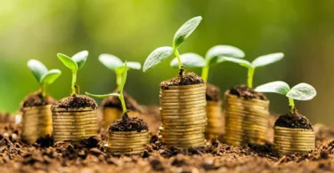 veohentak best investment ideas 2025