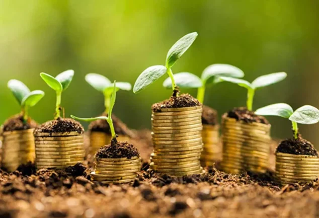 veohentak best investment ideas 2025